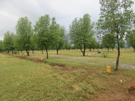 2) Li Id : 126 - Pic : 3.JPG